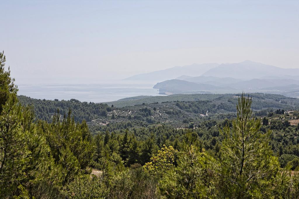 Thalatta Seaside Hotel Agia Anna  Eksteriør billede